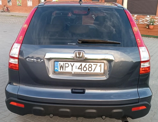 Honda CR-V cena 39999 przebieg: 171700, rok produkcji 2007 z Łódź małe 191